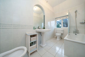 Photo 9- click for photo gallery